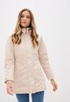 Категория: Куртки Dasti