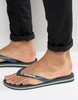 Шлепанцы Havaianas