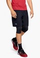 Категория: Шорты мужские Under Armour