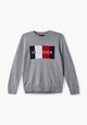 Категория: Джемперы Tommy Hilfiger