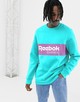 Категория: Свитшоты мужские Reebok