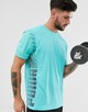 Категория: Футболки с логотипом мужские Puma
