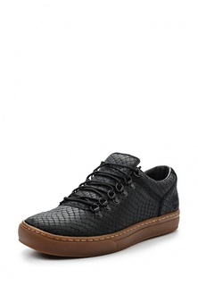 Кеды Timberland Adv 2.0 Cupsole Alpine Ox