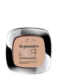 Пудра LOreal Paris Alliance Perfect Совершенное слияние оттенок R3 Бежево-розовый 9 г