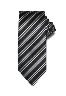 Галстук Stefano Danotelli