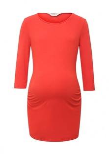 Лонгслив Dorothy Perkins Maternity