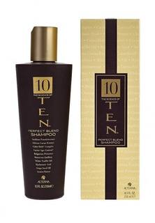 Шампунь Alterna The Science of Ten Perfect Blend Shampoo Совершенная формула 250  мл