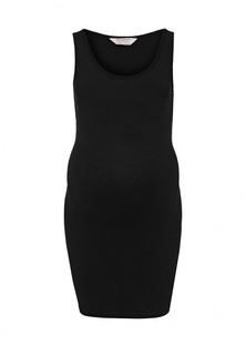 Топ Dorothy Perkins Maternity
