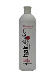 Шампунь Hair Company Professional Hair Light - Уход и специальные продукты для волос 1000 мл
