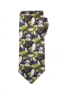 Галстук Stefano Danotelli