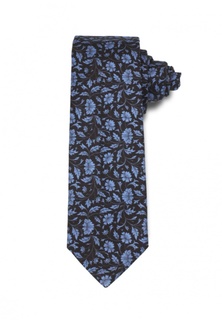 Галстук Stefano Danotelli