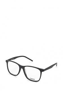 Оправа Polaroid PLD D301 QHC