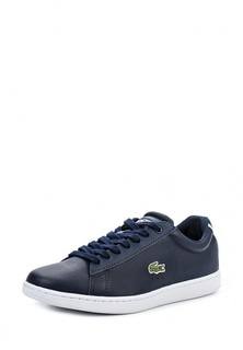 Кеды Lacoste