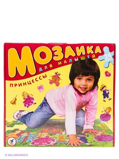 Мозаики Дрофа-Медиа