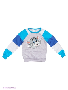 Свитшоты RHS