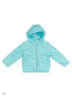 Куртки Button Blue