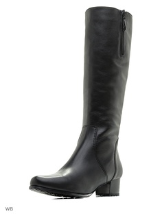 Сапоги Francesco Donni