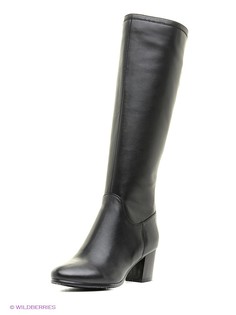 Сапоги Shoiberg