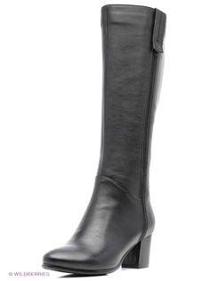 Сапоги Shoiberg