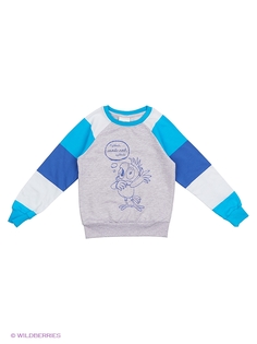 Свитшоты RHS