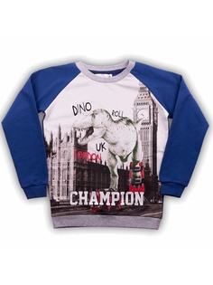 Свитшоты Free Age