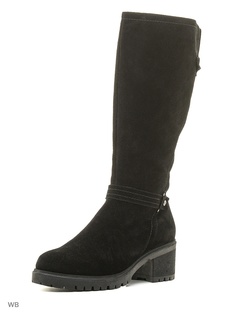 Сапоги Shoiberg