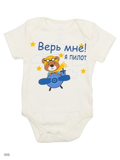 Боди Modis