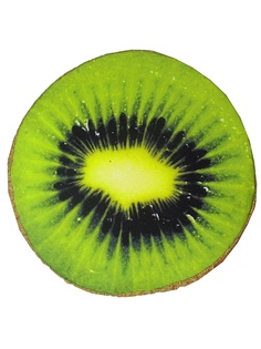 Подушки на стул Dorothys Нome