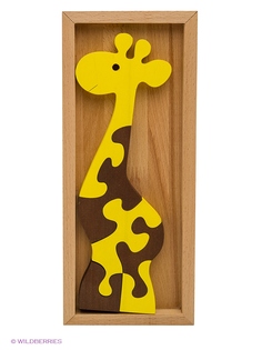 Головоломки РНТойс