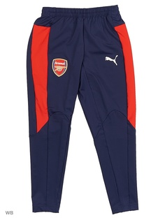 Брюки Puma