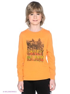 Лонгслив American Outfitters