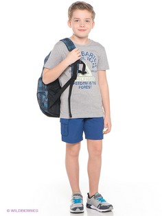 Шорты Tommy Hilfiger