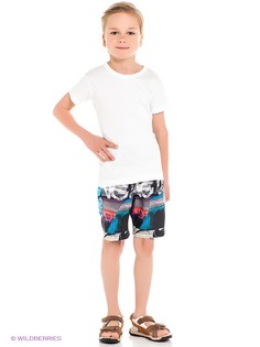 Бордшорты BILLABONG