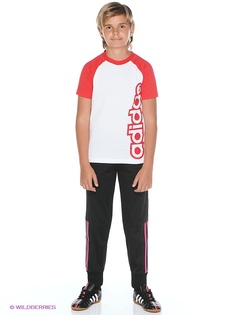 Брюки Adidas