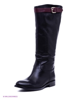 Сапоги Renaissance