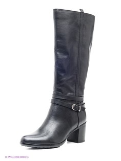 Сапоги Dino Ricci