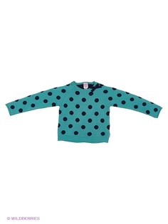 Джемперы CHICCO
