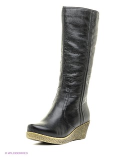 Сапоги Shoiberg