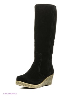 Сапоги Shoiberg