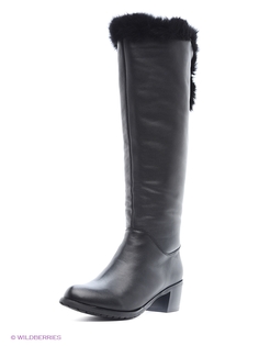 Сапоги Shoiberg