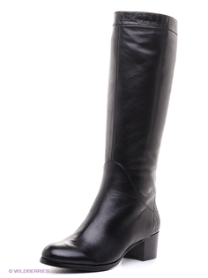 Сапоги Dino Ricci