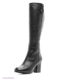 Ботфорты Lisette