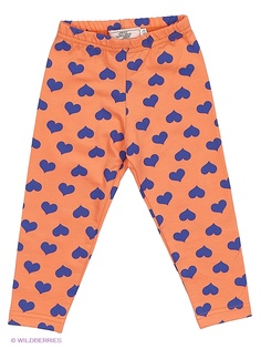 Леггинсы M&DCollection