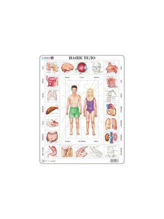 Пазлы LARSEN AS