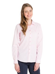 Рубашки U.S. Polo Assn.