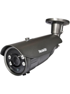 Камеры видеонаблюдения Falcon Eye