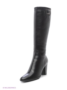 Сапоги Enzo Logana