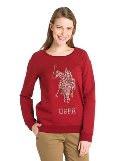 Свитшоты U.S. Polo Assn.