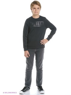 Свитшоты TOM TAILOR