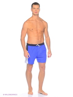 Шорты Speedo